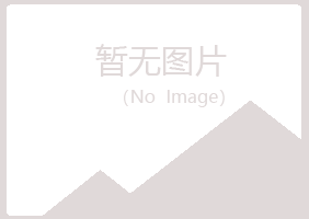 宣威紫山能源有限公司